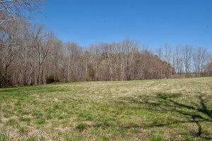 A grassy, open field is in the foreground with a backdrop of leafless trees under a clear blue sky. Shadows of trees are visible on the grass.