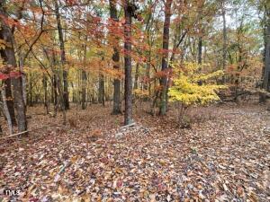 0 Enon Road, Oxford, NC 27565