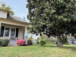 A large tree with dense foliage stands in a grassy yard next to a beige house with black shutters and a small porch. A bright pink flowering bush is near the porch. Another house is visible in the background under a clear sky.