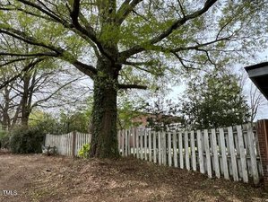A large tree with a thick trunk stands near a white wooden fence. Ivy grows on the tree trunk, and the fence runs alongside a dirt path. The background features more trees and a partially visible brick building. The sky is overcast.