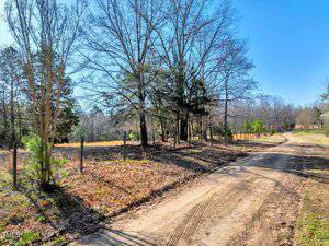Dirt road flanked by leafless trees on both sides, with a grassy field and more trees in the background. The sky is clear and blue, suggesting a sunny day. A fence runs along the left side of the road.