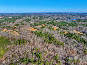 Aerial view of a vast landscape featuring a dense forest with a mix of green and bare trees. Several clearings and a few roads are visible, along with a body of water in the distance under a clear blue sky.