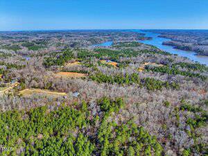 Aerial view of a vast landscape with dense, green forests and patches of leafless trees. A winding river runs through the scene, creating a contrast against the greenery. Clear blue sky visible above. Sparse residential areas are seen amid the trees.