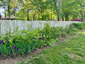A lush garden with purple irises and various green plants lines a white wooden fence. Tall trees and thick foliage are visible in the background, under a bright, sunny sky.