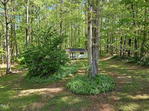 A small white shed with dark trim sits in a wooded area surrounded by tall trees, green foliage, and patches of grass and ground cover. Sunlight filters through the leaves, creating dappled shadows.