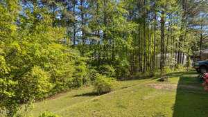 A grassy backyard with a small shrub in the center, bordered by dense green trees. There are vehicles and a bench visible near the right edge of the image, and sunlight filters through the foliage.