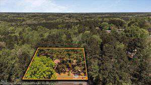 Aerial view of a wooded area with a rectangular plot outlined in yellow. The plot contains several trees and a small structure, surrounded by dense forest. A road runs along the lower edge of the outlined area.
