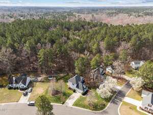Aerial view of a suburban neighborhood with several single-family homes bordering a wooded area. The houses have yards with green lawns, driveways, and blooming trees lining the curving street.