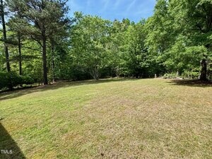 A grassy backyard with a few large trees along the edges under a blue sky. The area is open and bordered by dense green foliage and trees. Sunlight creates patches of shade on the lawn.