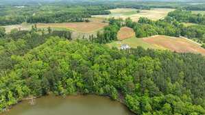 Aerial view of a wooded area beside a small body of water, with open fields and scattered houses in the background under a cloudy sky. The landscape is mostly green with patches of brown fields.