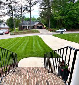 A view from brick steps with black railings, overlooking a neatly mowed lawn with striped patterns, a curved concrete driveway, cars parked, and houses surrounded by trees.