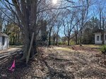 A mostly bare lot at 910 Gay Street in Henderson, with leafless trees, scattered fallen leaves, and sunlight shining through branches. Two small white buildings are partially visible on each side, and pink survey flags mark the foreground.