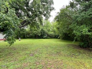 A grassy yard bordered by dense green trees on three sides with a small white birdbath on the left side. The sky is overcast and part of a house is visible at the far left edge.