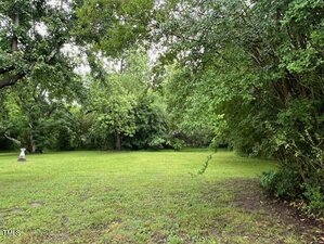 A grassy yard bordered by dense, leafy trees under a cloudy sky. A small outdoor structure, possibly a birdbath or garden ornament, is visible on the left side of the image.
