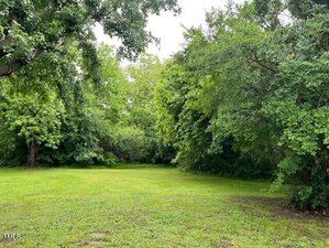 A grassy area bordered by dense, green trees and tall shrubs on a cloudy day. The trees form a natural enclosure around the open lawn.