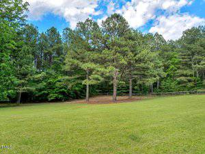 A grassy field with a group of tall pine trees in the center. A wooden fence runs along the edge of the trees, with more trees and greenery in the background under a partly cloudy sky.
