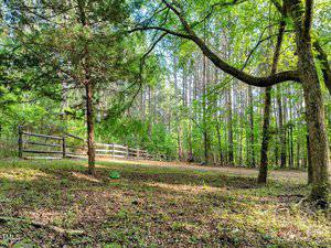 A wooded clearing with a patch of dirt and leaves on the ground, surrounded by tall trees. A wooden fence runs along the left side, and sunlight filters through the green foliage.