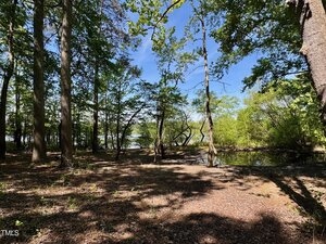 A wooded area with tall trees, leafy green foliage, and scattered sunlight. There is a small pond or water feature to the right, and a glimpse of a lake through the trees in the background under a blue sky.