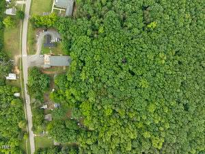 Aerial view of a densely wooded area bordered by several buildings, roads, and small clearings on the left side, with thick, green tree canopy covering most of the image.