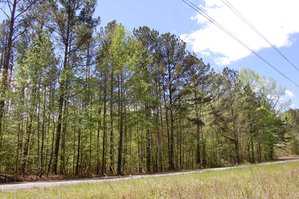 A two-lane road runs alongside a dense forest of tall pine trees under a partly cloudy sky, with power lines visible in the upper right corner. Grass and brush line the roadside.