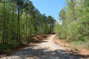 A gravel road curves through a wooded area with tall green trees on both sides. The sky is clear and blue, and sunlight filters through the foliage. The ground beside the road is dry and reddish-brown.