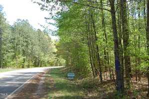 A two-lane rural road curves alongside a dense forest of tall, leafy trees. A green and white real estate sign is posted among the trees on the right side of the image. Sunlight filters through the foliage.