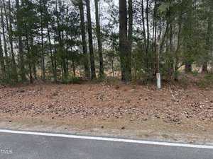 A roadside view showing a pine-needle-covered ground with scattered pinecones, bordered by a forest of tall evergreen trees. A white utility marker stands near the tree line.