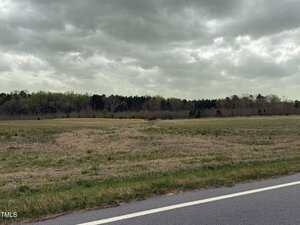A grassy field with patches of brown and green stretches alongside a paved road under a cloudy, overcast sky. Trees line the background, and the landscape appears flat and open.