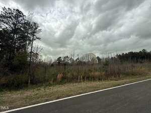 A paved road runs alongside a grassy shoulder and dense, leafless trees and shrubs under a cloudy, overcast sky. The scene appears rural and there are no vehicles or people visible.