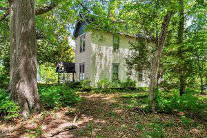 A two-story, light-colored house with a dark roof sits among tall trees and dense greenery. Sunlight filters through the leaves, casting shadows on the ground covered with fallen leaves and plants.