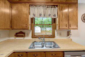 A kitchen sink with a double basin is set in a light wood countertop, beneath a window with a checked curtain. Wood cabinets flank the window, and a backyard with trees and a white shed is visible outside.