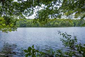 A calm lake is surrounded by green trees, with leafy branches framing the view in the foreground. The water is still, and the sky is partly visible through the leaves.