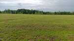 A wide, open grassy field with short green vegetation stretches near 2681 Rivers Edge Road, Oxford, bordered by a line of trees in the background under a cloudy sky.