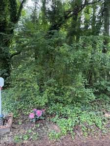 Green, leafy vegetation fills the image, with a small patch of pink flowers planted in front of the dense shrubbery. A white mailbox with red trim is partially visible on the left side.
