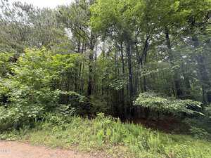 A dense green forest with tall trees and thick underbrush lines a dirt path near 729 Regina Lane, Henderson. The lush scene is filled with foliage, and the ground is carpeted in grass and small plants beneath an overcast sky.