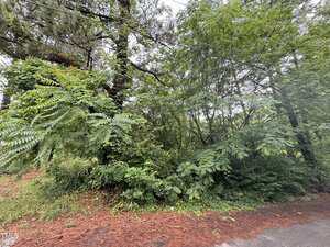 Dense green foliage and trees border the paved roadside at 552 Thomas Street, Henderson. Overhead utility wires run through the scene, while pine needles cover the ground near the road in this lush rural or suburban setting.