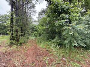 A red dirt path leads into a wooded area with dense green foliage and tall pine trees on a cloudy day. Grass and small plants cover the ground around the path.
