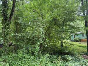 Dense green foliage and trees cover most of the image, with a small portion of a green house visible on the right side. The ground is uneven, and there is a mix of grass, bushes, and vines.