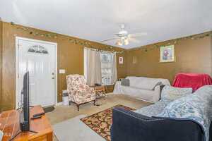 A living room with brown walls, two couches with slipcovers, an armchair, a patterned rug, a TV on a wooden stand, a ceiling fan with lights, and wall decor including a framed picture and artificial greenery.