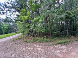 A dirt road curves through a wooded area with dense green trees and undergrowth on both sides. The sky is partly visible through the branches. The ground is covered with gravel and patches of grass.