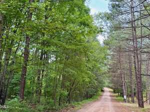 A dirt road runs through a forest with tall green trees on both sides under a partly cloudy sky. The road curves slightly to the right in the distance.
