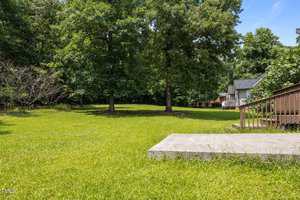 A grassy backyard with mature trees, a small concrete slab in the foreground, and part of a wooden deck and house visible on the right side of the image. The sky is clear and blue.