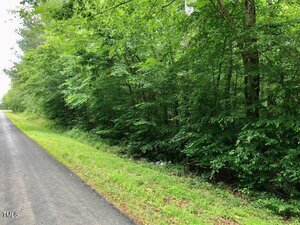 A paved road runs alongside a grassy strip bordered by dense green trees and vegetation on the right side. The area appears lush and well-shaded, with no people or vehicles visible.