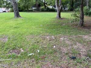 A grassy yard with several trees, some patches of bare soil, and a few pieces of litter scattered on the ground. Houses and more trees are visible in the background.