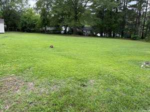 A grassy yard with a few small patches of bare ground, surrounded by trees. A house is visible in the background, partially obscured by foliage. The sky appears overcast.