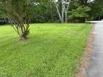 A grassy yard with a tree on the left, bordered by 00 Montgomery Road on the right. The background includes more trees and a wooded area near Henderson, with some pine straw along the edge of the road.