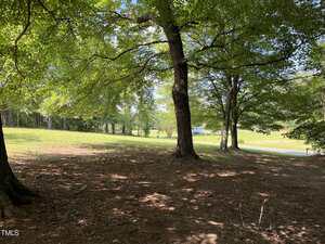 A shaded area with large trees in the foreground, looking out onto a sunlit grassy field with more trees and a small road in the background under a partly cloudy sky.