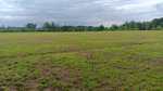 A wide open grassy field with patches of bare earth, bordered by a line of trees under a cloudy sky stretches near 2679 Rivers Edge Road, Oxford. The landscape is flat and mostly green, with no buildings or people visible.