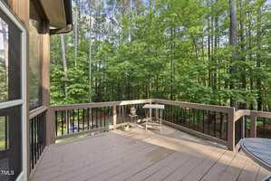 A wooden deck with a railing overlooks a lush, green forest. There are a few potted plants and a small table on the deck. Sunlight filters through the trees and casts shadows on the deck floor.