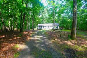 A single-story white house with a dark roof is surrounded by tall trees and dense woodland. A gravel driveway leads up to the house, and sunlight filters through the leaves, casting shadows on the ground.